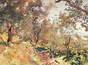 John Singer Sargent Trees on the Hillside at Majorca oil on canvas